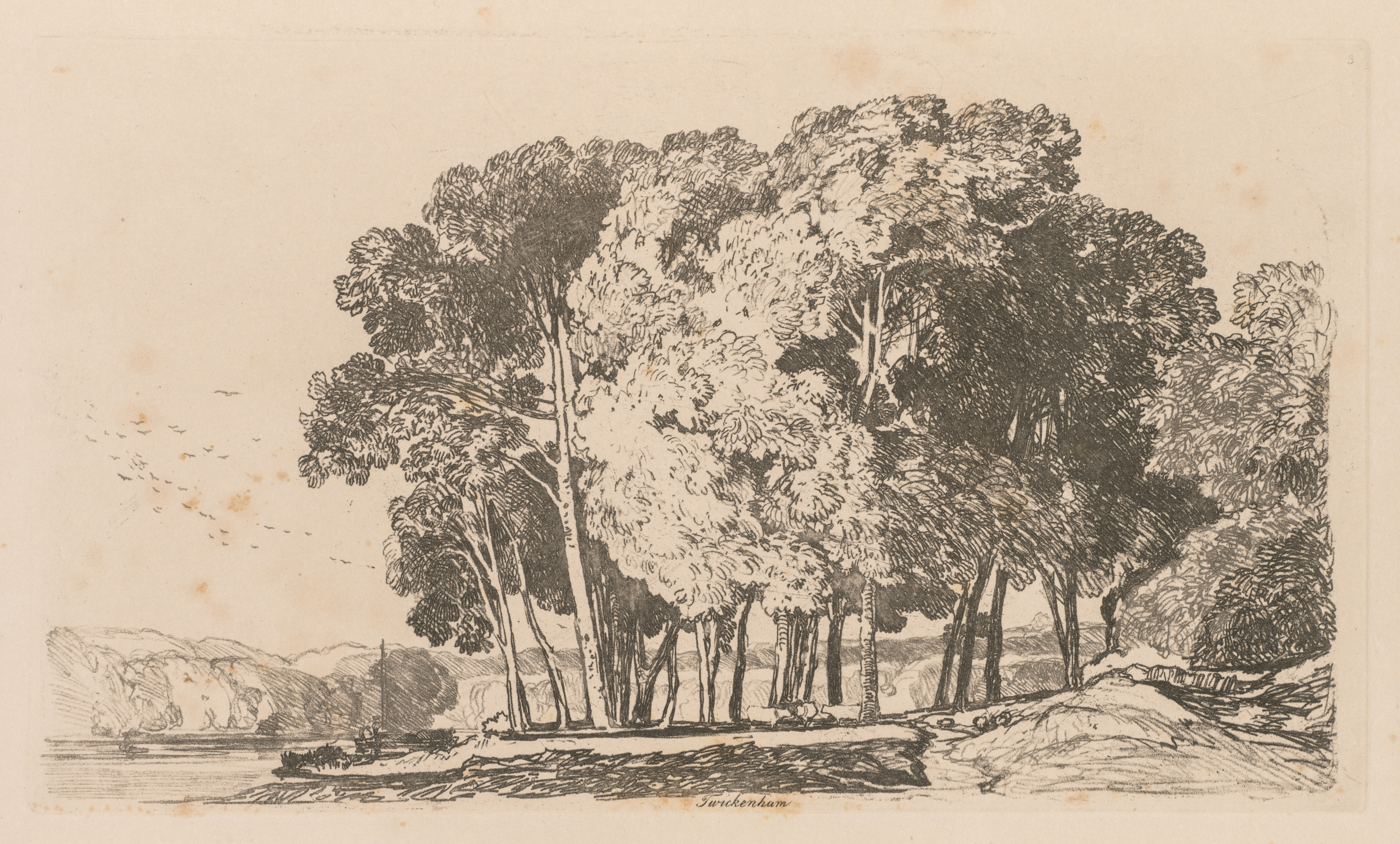 Liber Studiorum: Plate 3, Trees near Twickenham