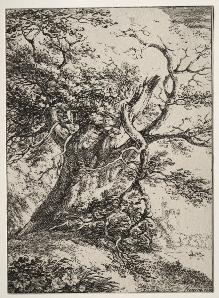 Specimens of Polyautography:  Landscape with an Oak Tree