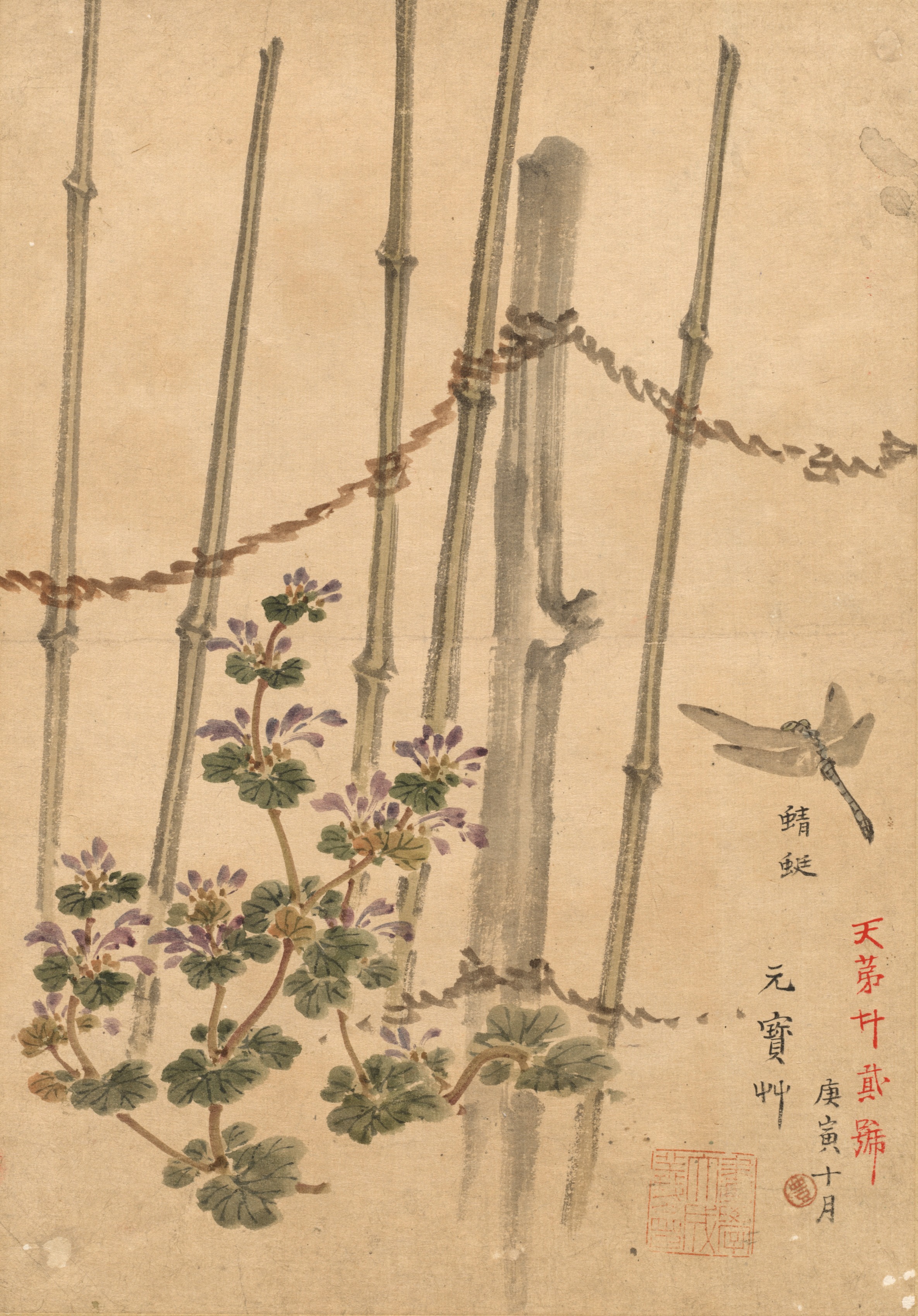 Bamboo Fence and Chrysanthemums