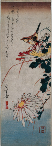Wren and Chrysanthemums