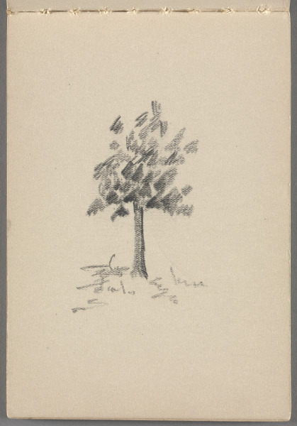 Sketchbook No. 10, page 5: Pencil sketch of tree