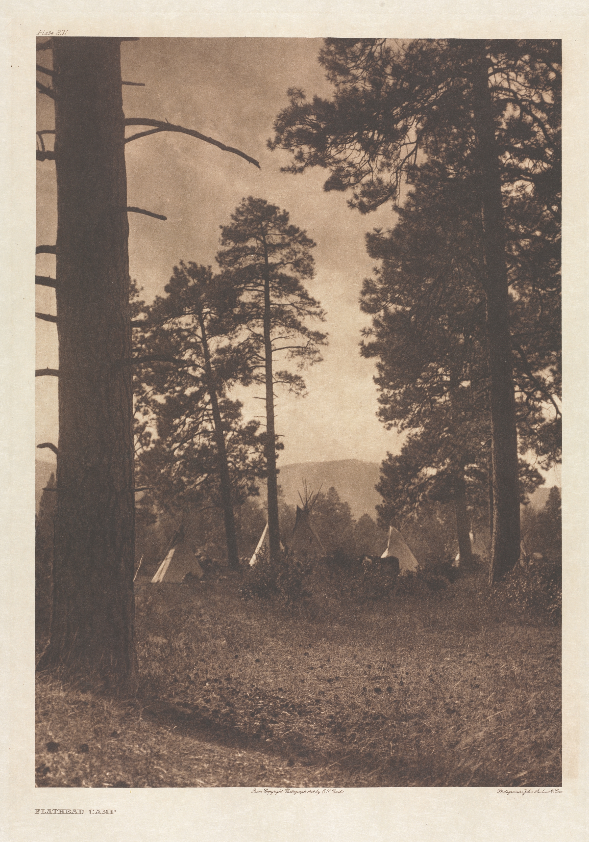 Portfolio VII, Plate 231: Flathead Camp