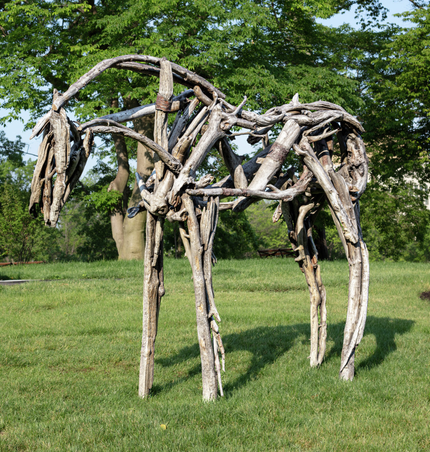 Belt, Deborah Butterfield, 2007