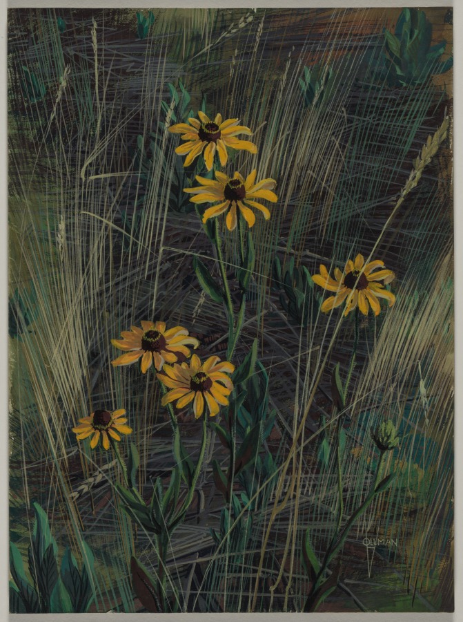 Black-eyed Susans, Fred A. Vollman, 1944