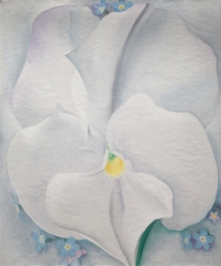 White Pansy | Cleveland Museum of Art