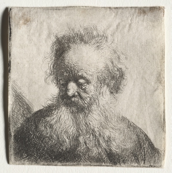 Old Man with a Flowing Beard: Bust