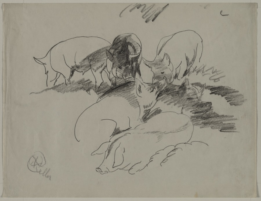 Pigs and Shoats, Henry Keller, c. 1891–1949