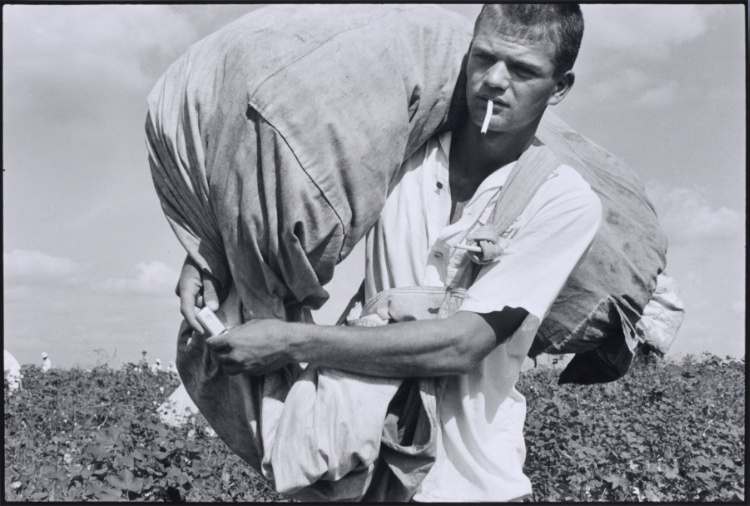 Cotton Picker; Ten Years, Robbery and Assault