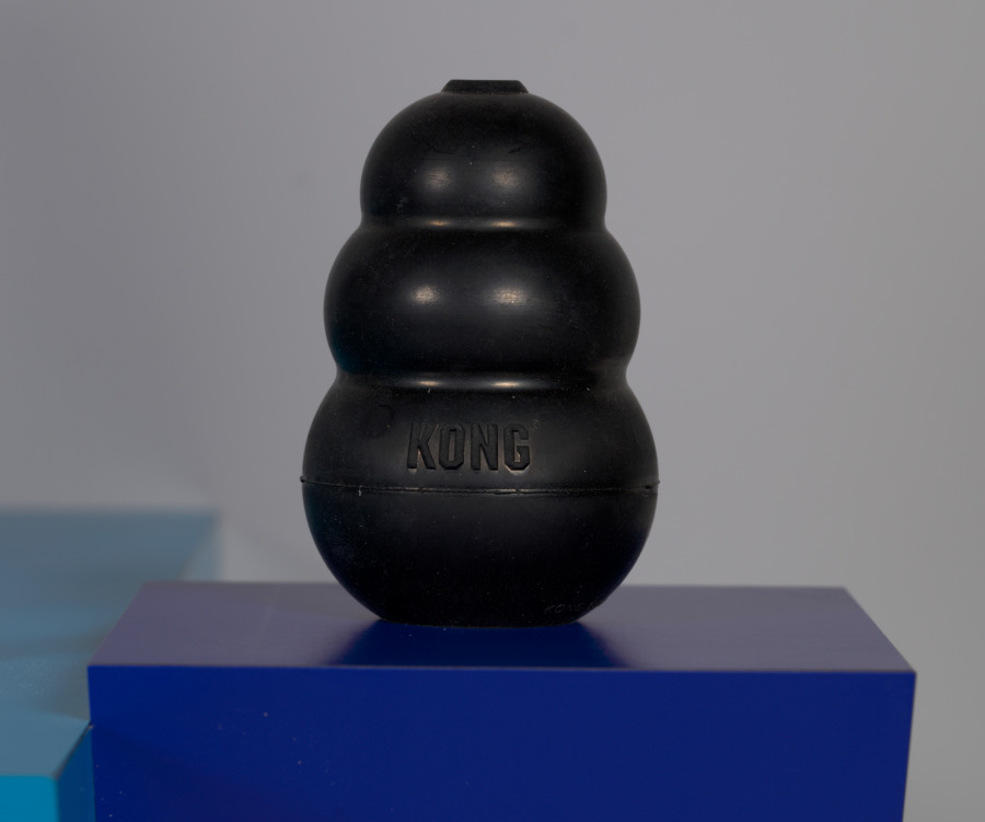 Wild Things, Haim Steinbach, 2011