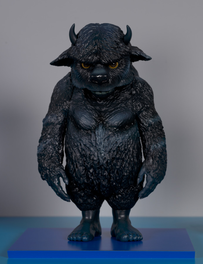Wild Things, Haim Steinbach, 2011