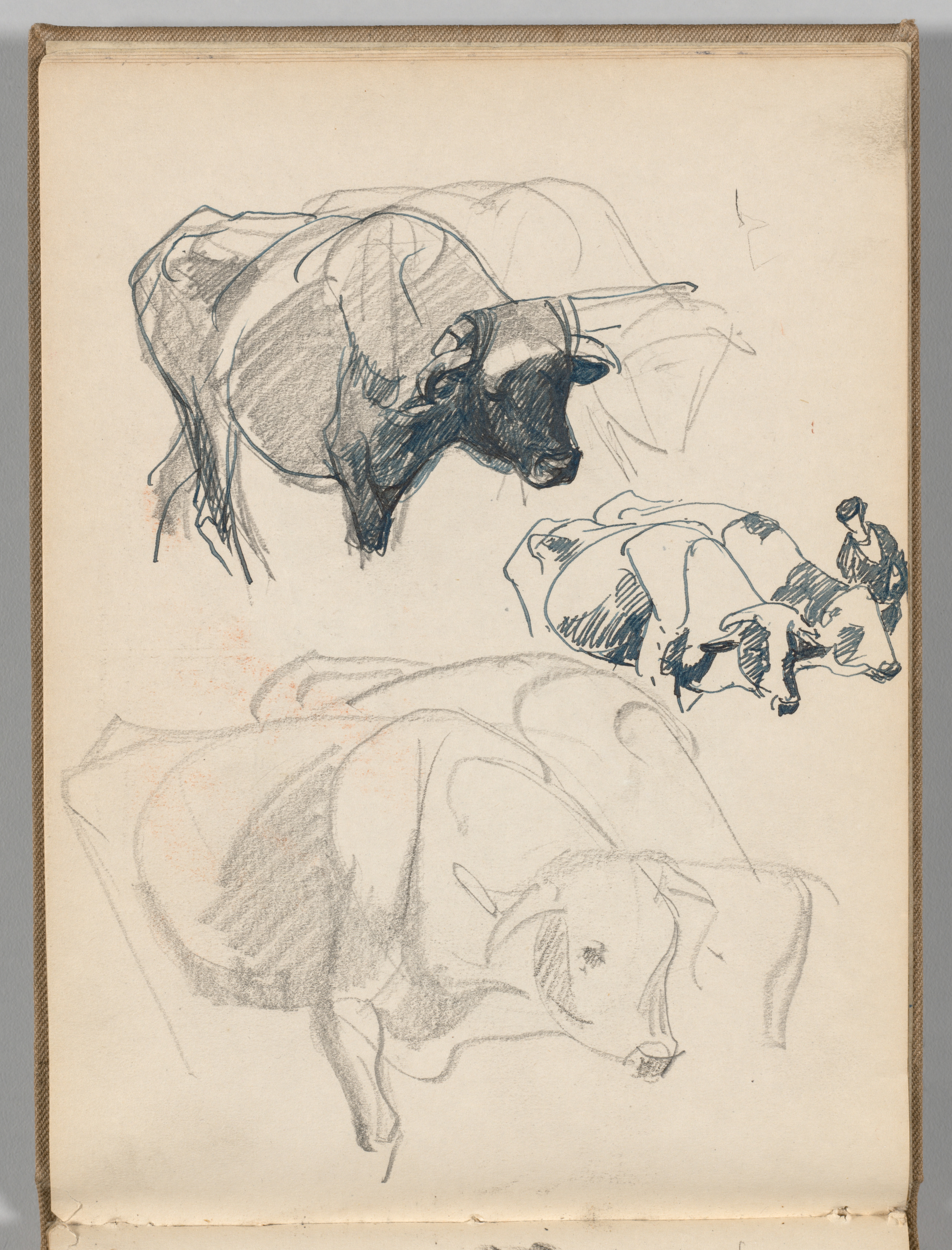Sketchbook, Spain: Page 10, Oxen