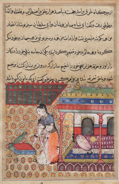 The parrot addresses Khujasta at the beginning of the thirty-eighth night, from a Tuti-nama (Tales of a Parrot)
