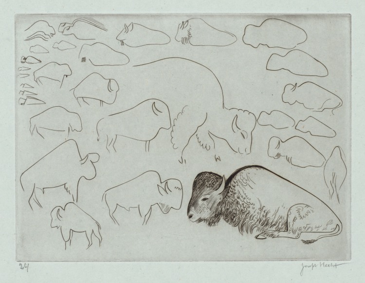 Sketches of Animals: Bisons (Croquis d’animaux: Bisons)