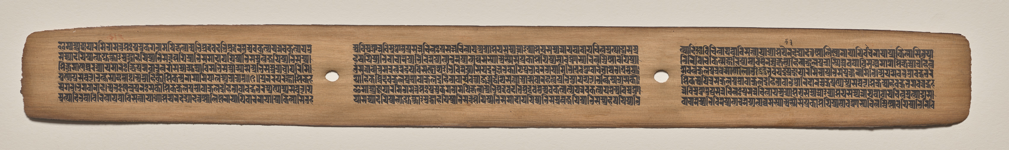 Text, folio 43 (recto), from a Manuscript of the Perfection of Wisdom in Eight Thousand Lines (Ashtasahasrika Prajnaparamita-sutra)