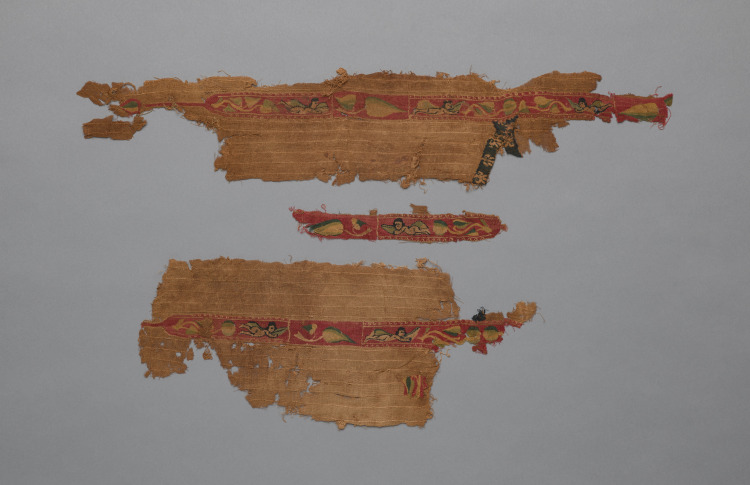 Fragments from a Tunic