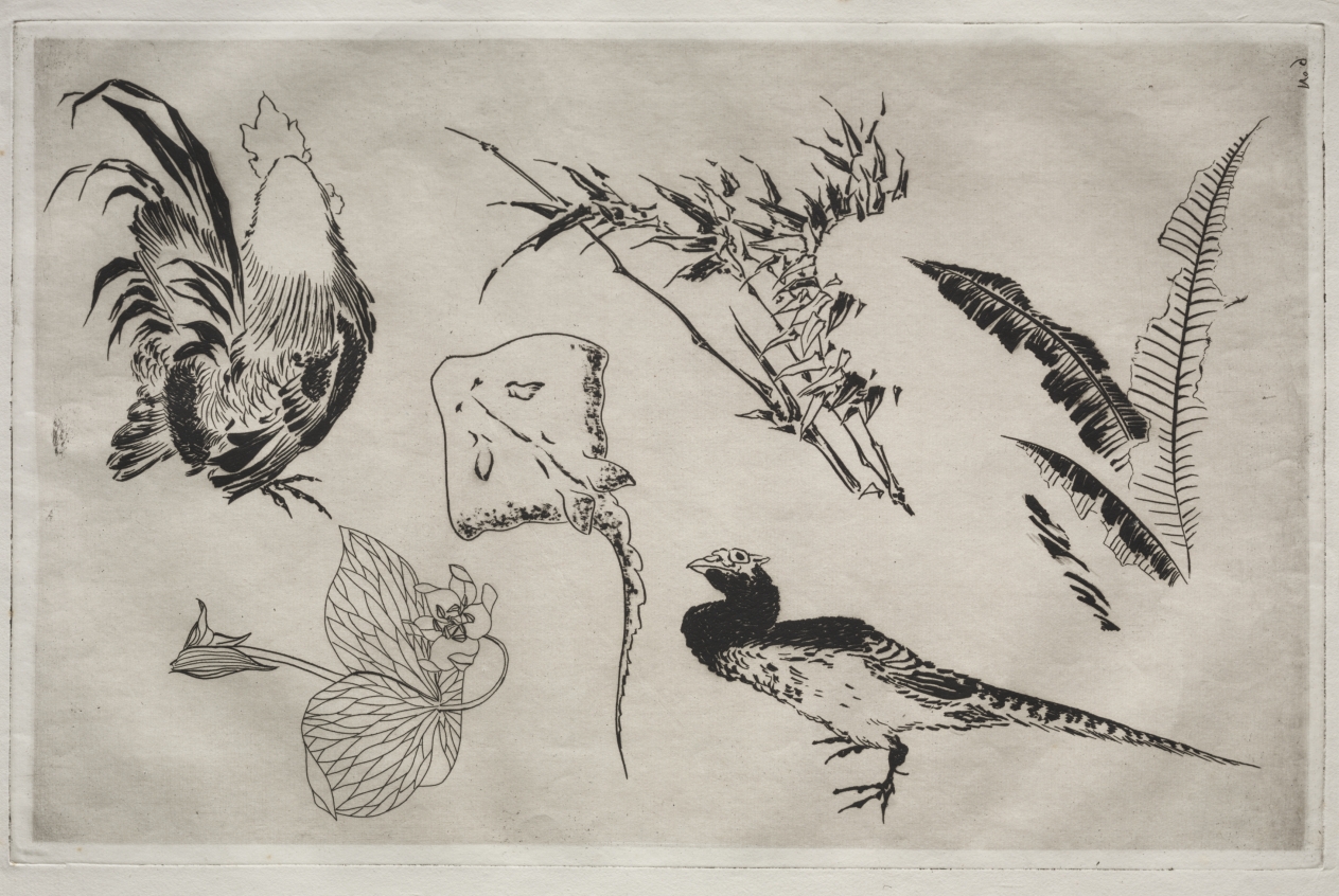 Dinner Service (Rousseau service): Roosters, skate, plants, etc. (no. 9)