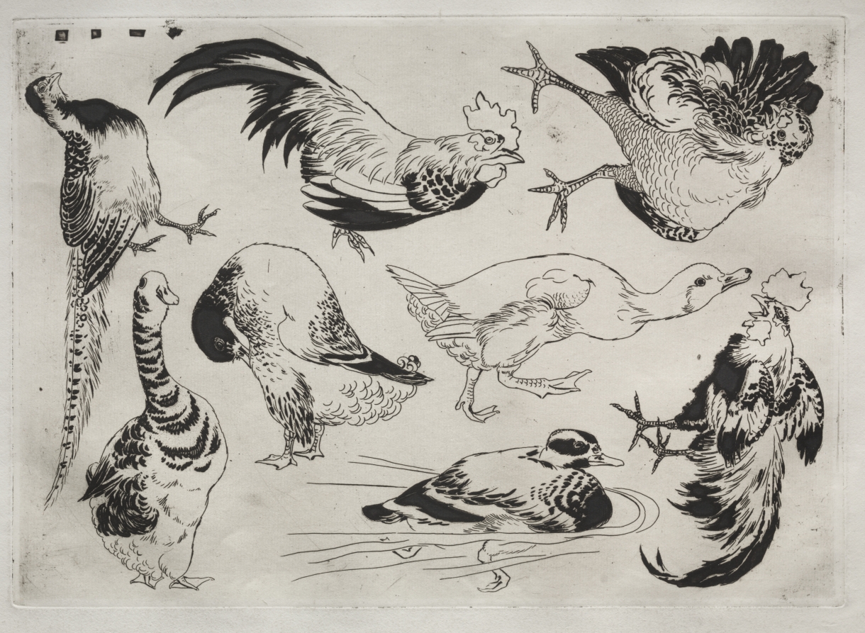 Dinner Service (Rousseau service): Roosters, ducks, etc. (no. 13)