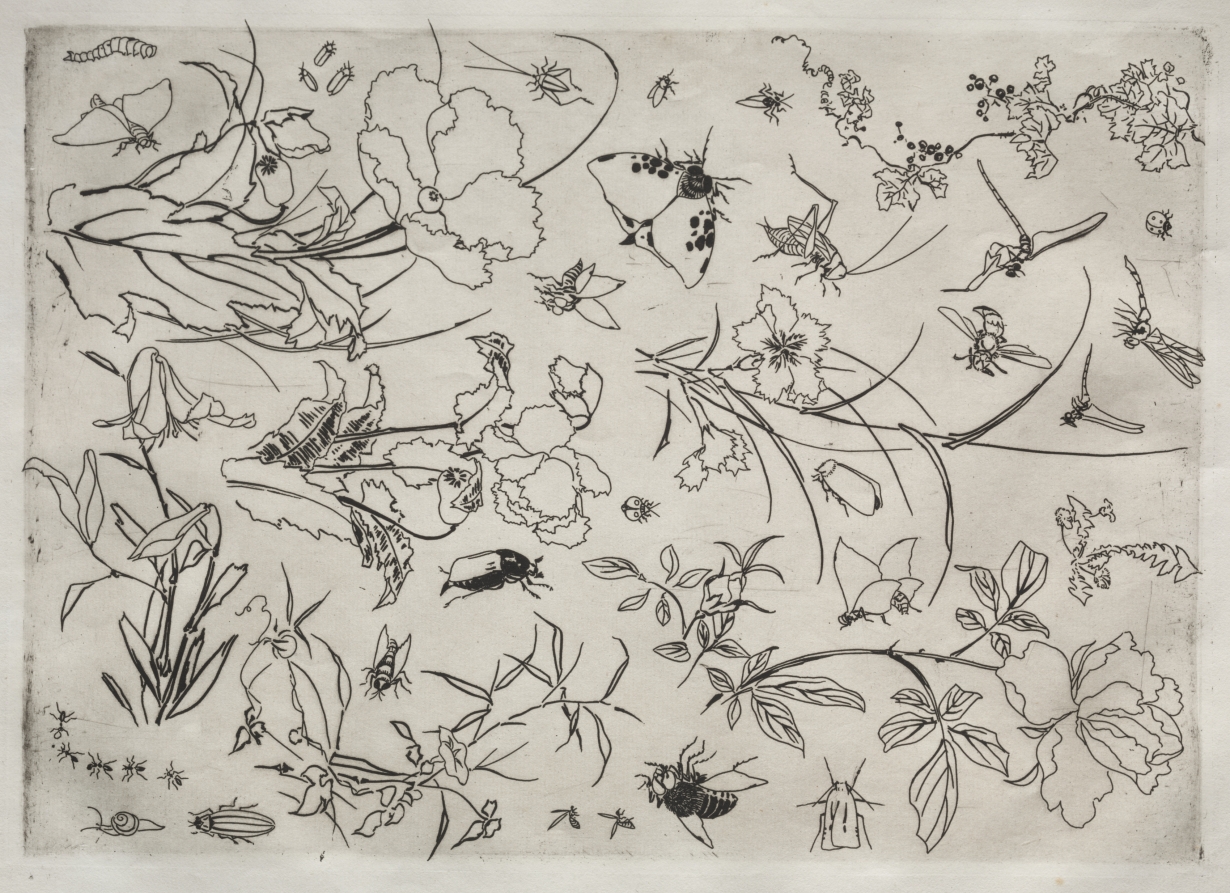 Dinner Service (Rousseau service): Flowers and Insects (no. 15)