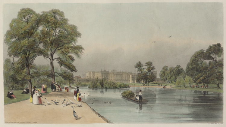 London As It Is:  Buckingham Palace, from St. James's Park