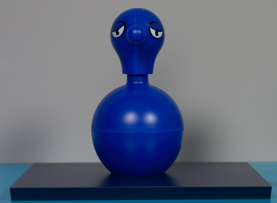 Wild Things, Haim Steinbach, 2011