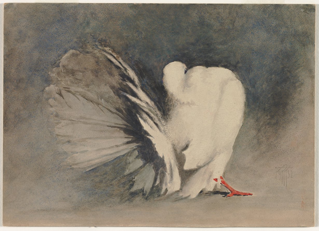 White Dove, Thomas R. Kimball, 1932