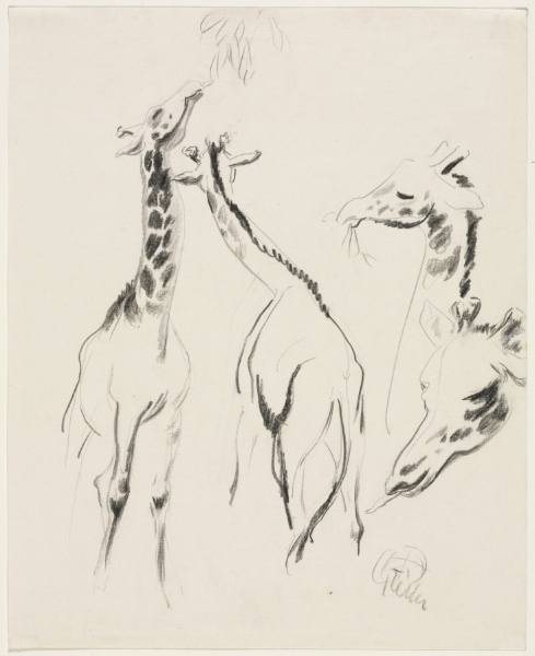 Circus Sketches - Giraffes