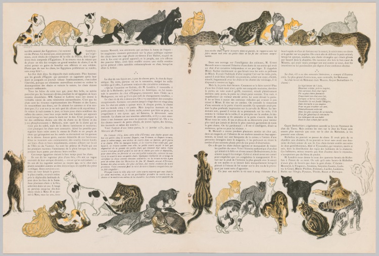 Illustration: On Cats by Jacques Dalbray (L’Illustration: Sur Les Chats de Jacques Dalbray)