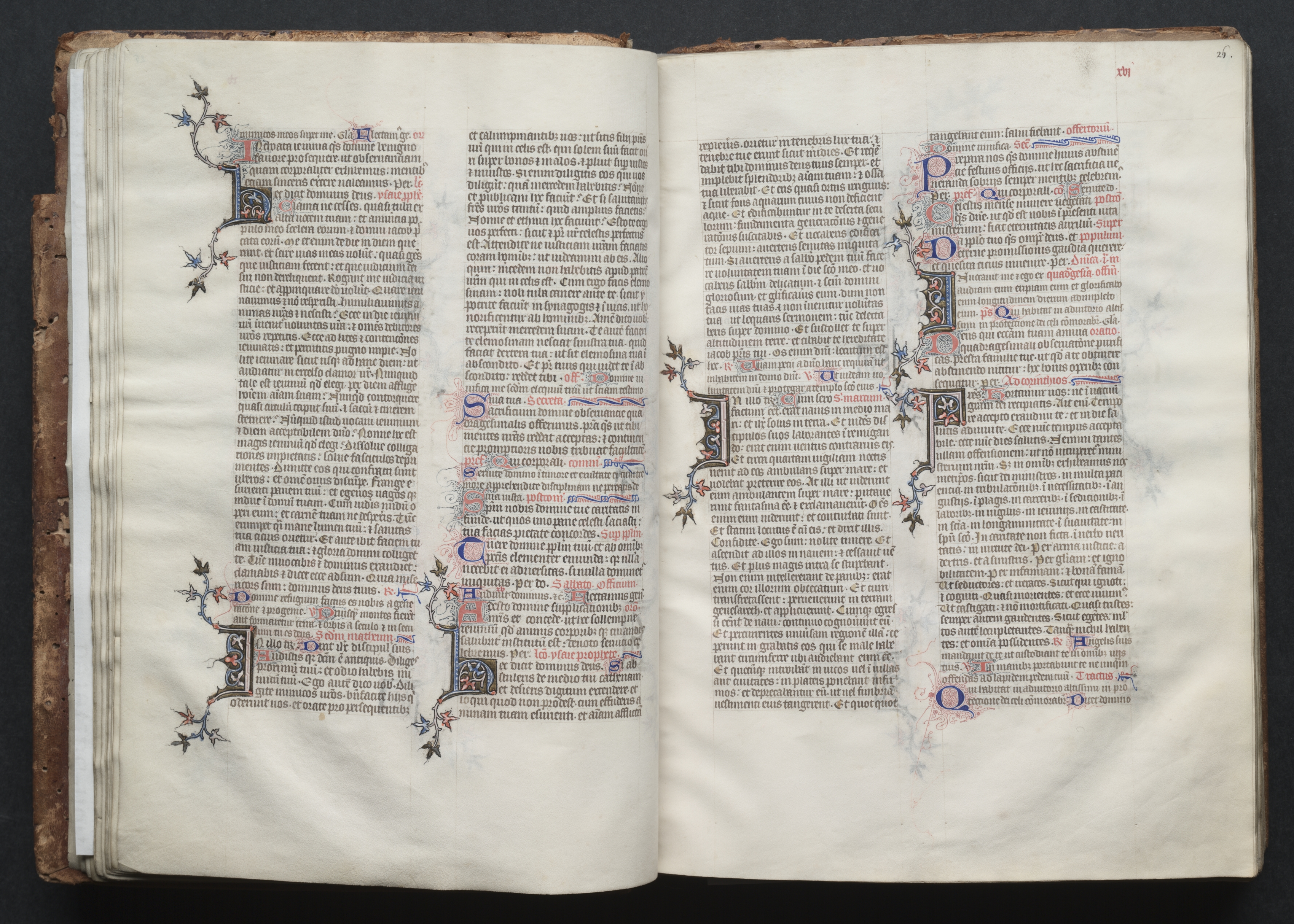 The Gotha Missal:  Fol. 25v, Text