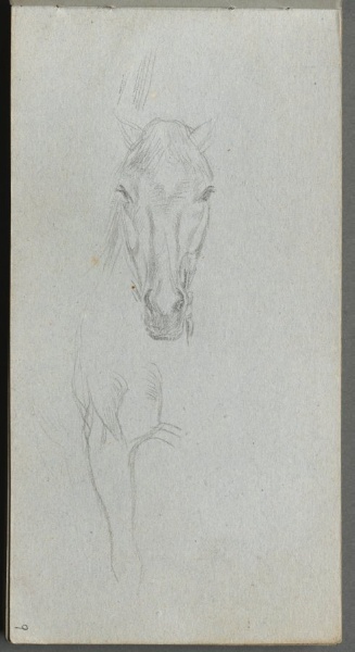 Sketchbook, page 09: Study of a Horse