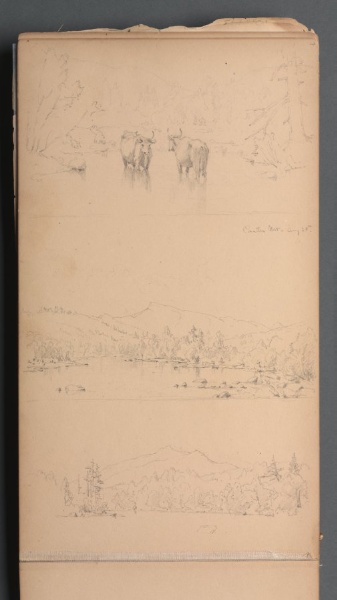 Sketchbook, page 07: "Carter Mt (?) Aug. 28th"