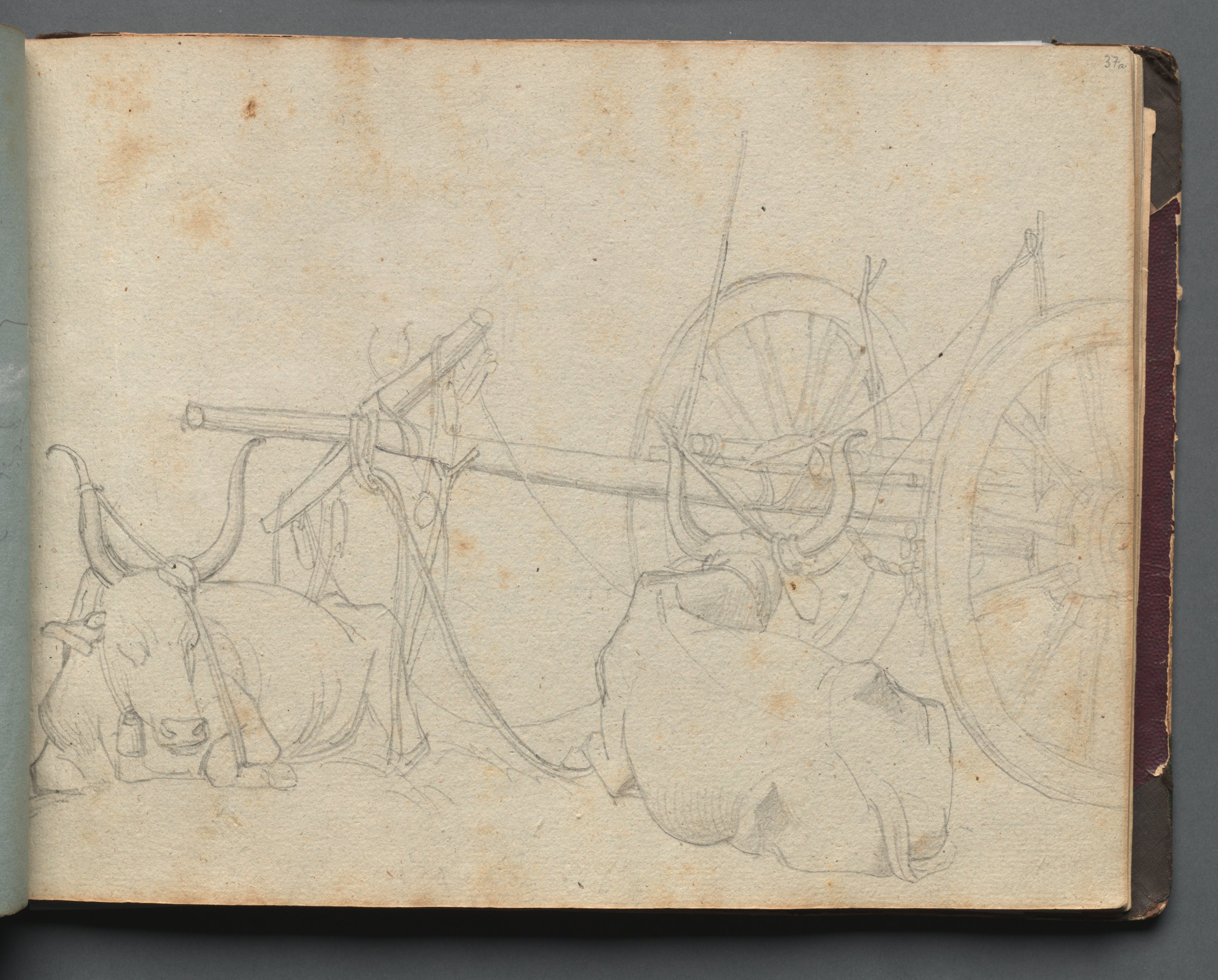 Album with Views of Rome and Surroundings, Landscape Studies, page 37a: Oxen and Wagon