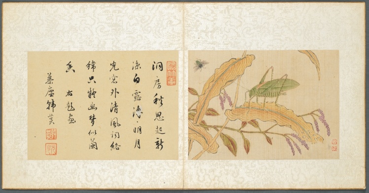 Album of Miscellaneous Subjects, Leaf 7