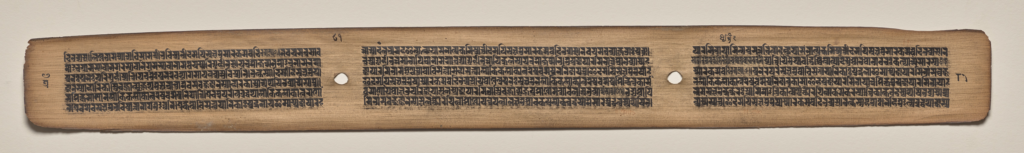 Text, Folio 81 (verso), from a Manuscript of the Perfection of Wisdom in Eight Thousand Lines (Ashtasahasrika Prajnaparamita-sutra)