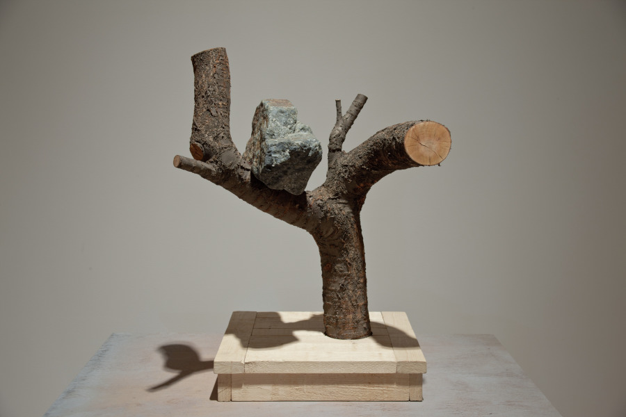 A Rock That Was Taught It Was a Bird, Kim Beom, 2010