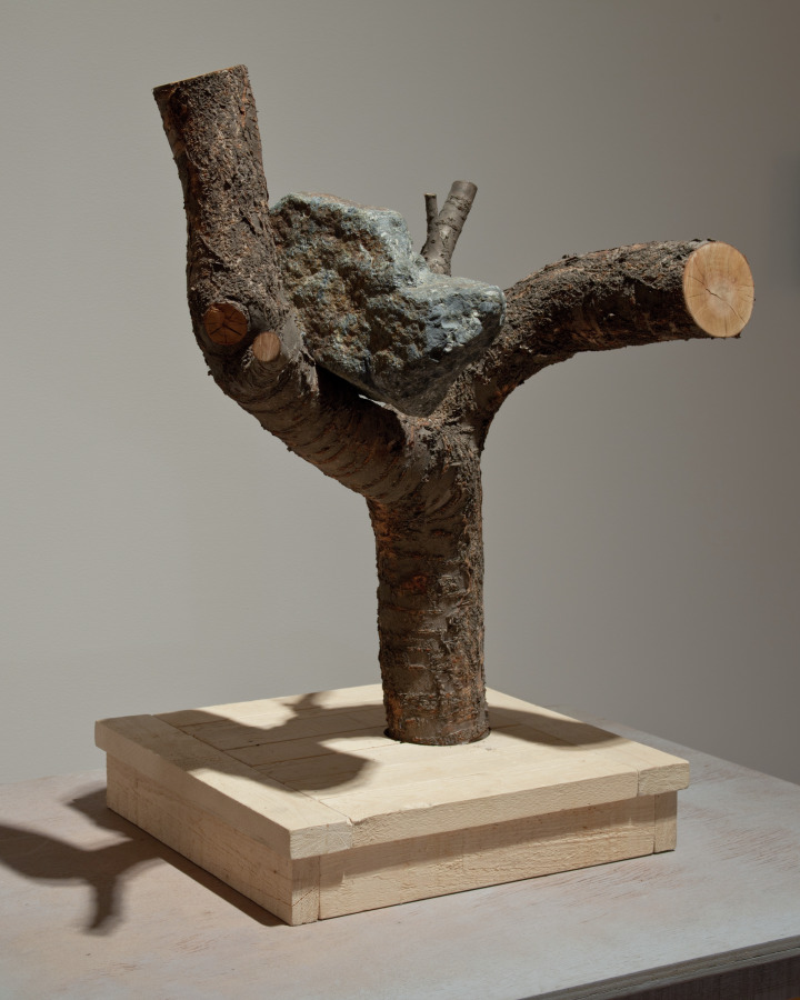 A Rock That Was Taught It Was a Bird, Kim Beom, 2010