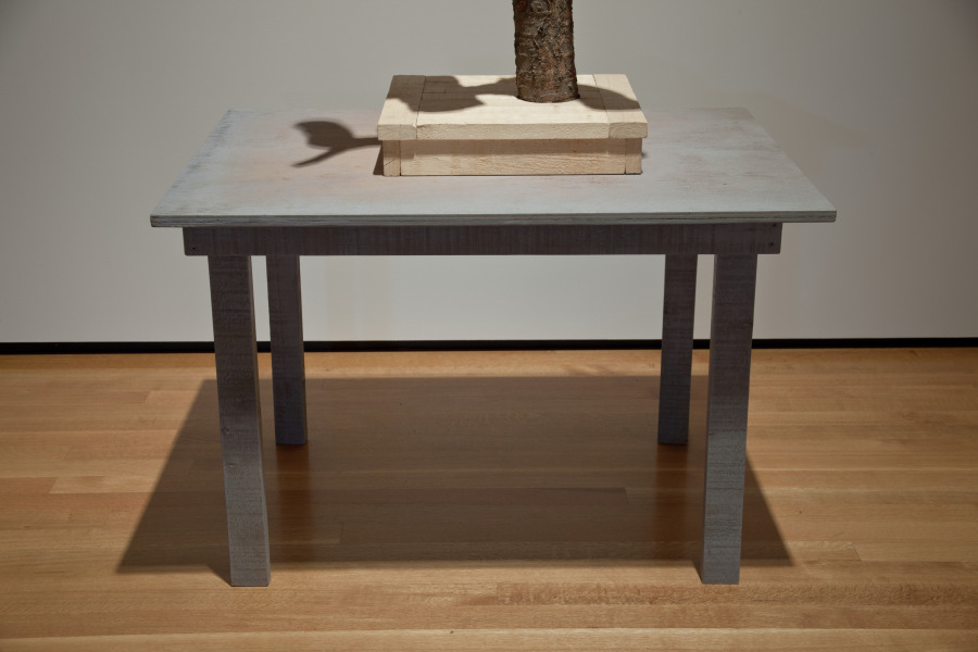A Rock That Was Taught It Was a Bird, Kim Beom, 2010