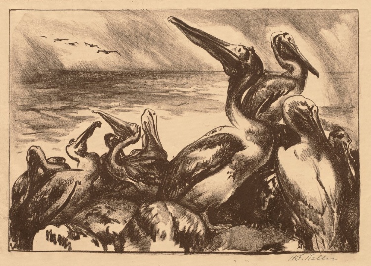 Pelican Rookery, No. 1