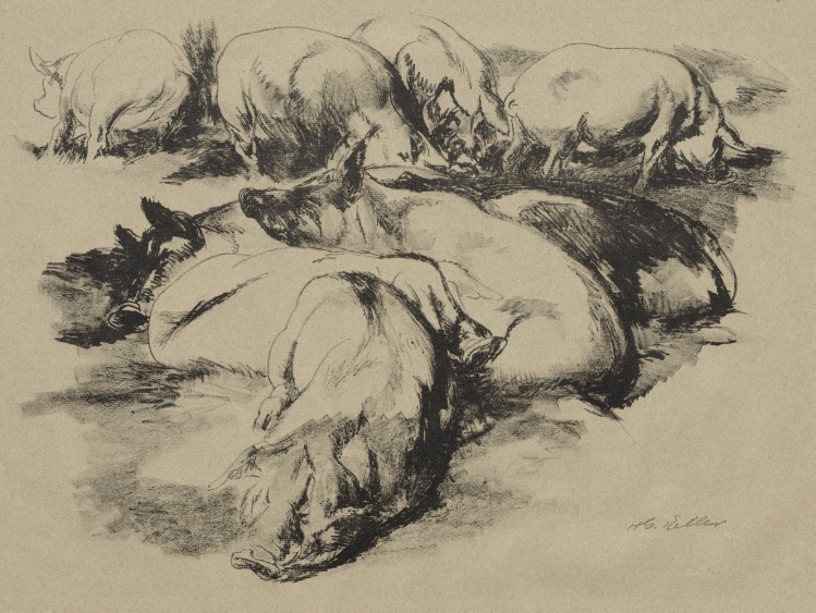Pigs, Composition No. 1