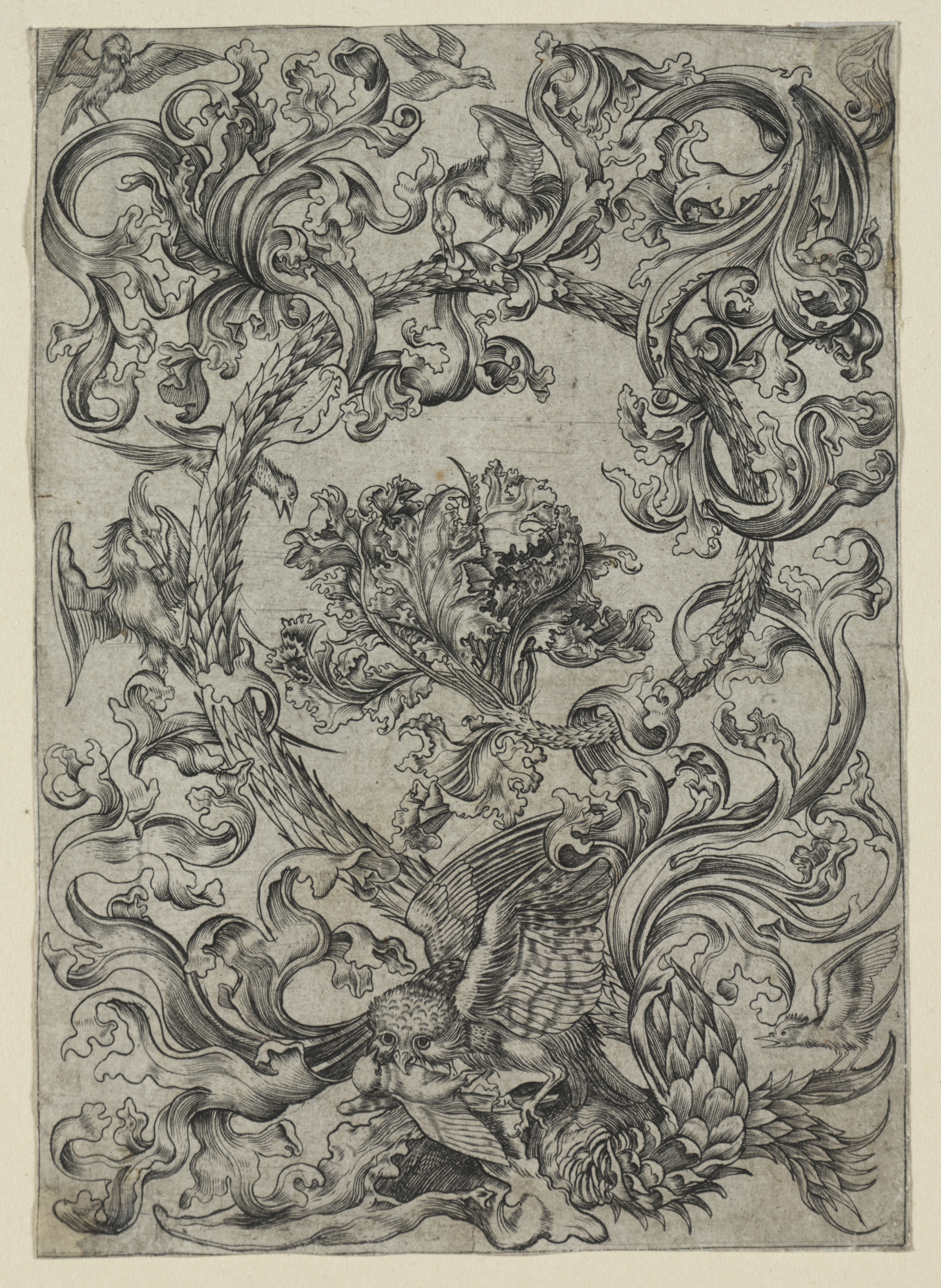 Ornamental Foliage, with an Owl and other Birds
