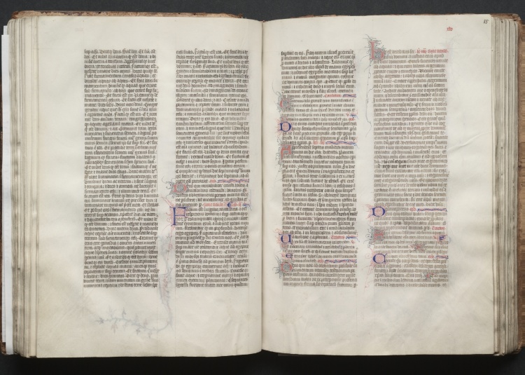 The Gotha Missal:  Fol. 55r, Text