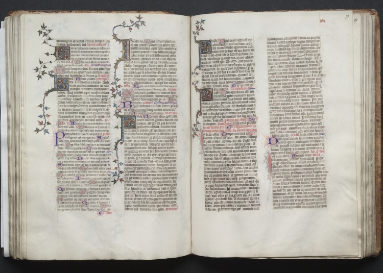 The Gotha Missal:  Fol. 77v, Text