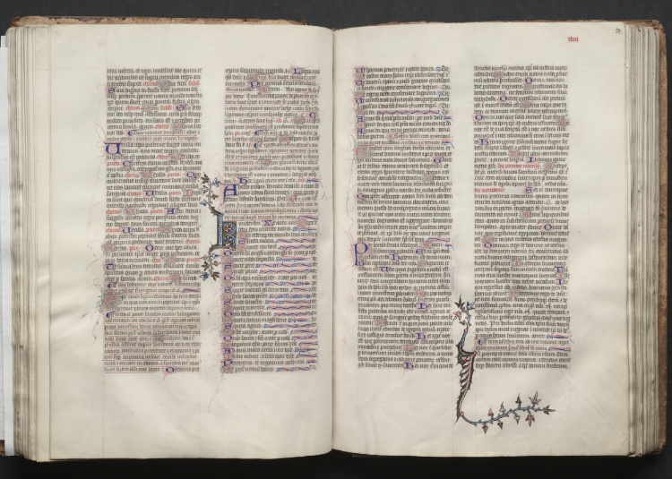 The Gotha Missal:  Fol. 53v, Text