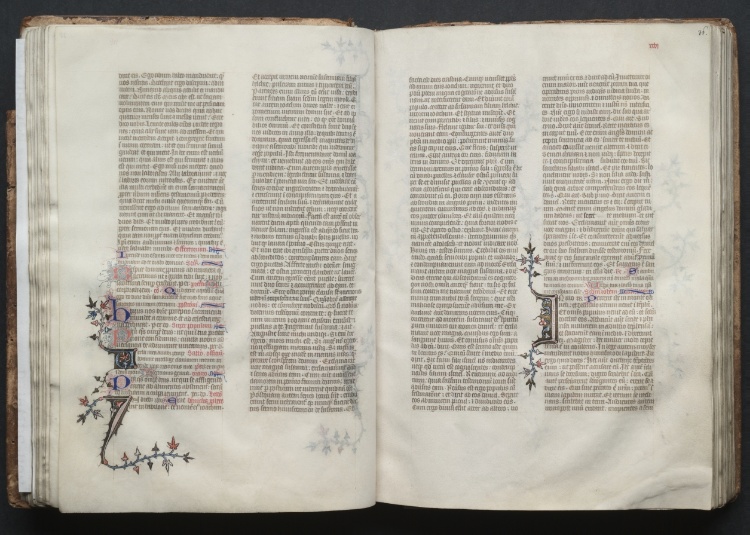 The Gotha Missal:  Fol. 35v, Text