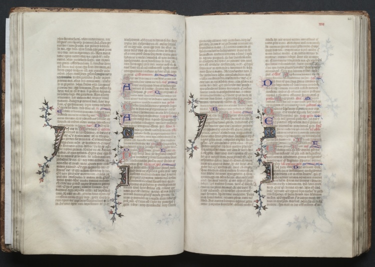 The Gotha Missal:  Fol. 41v, Text