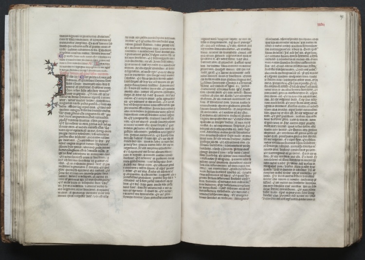 The Gotha Missal:  Fol. 46v, Text