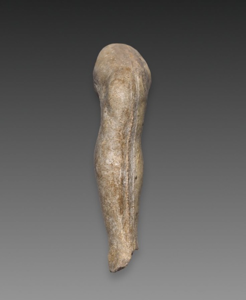 Fragment of a Leg (right leg)