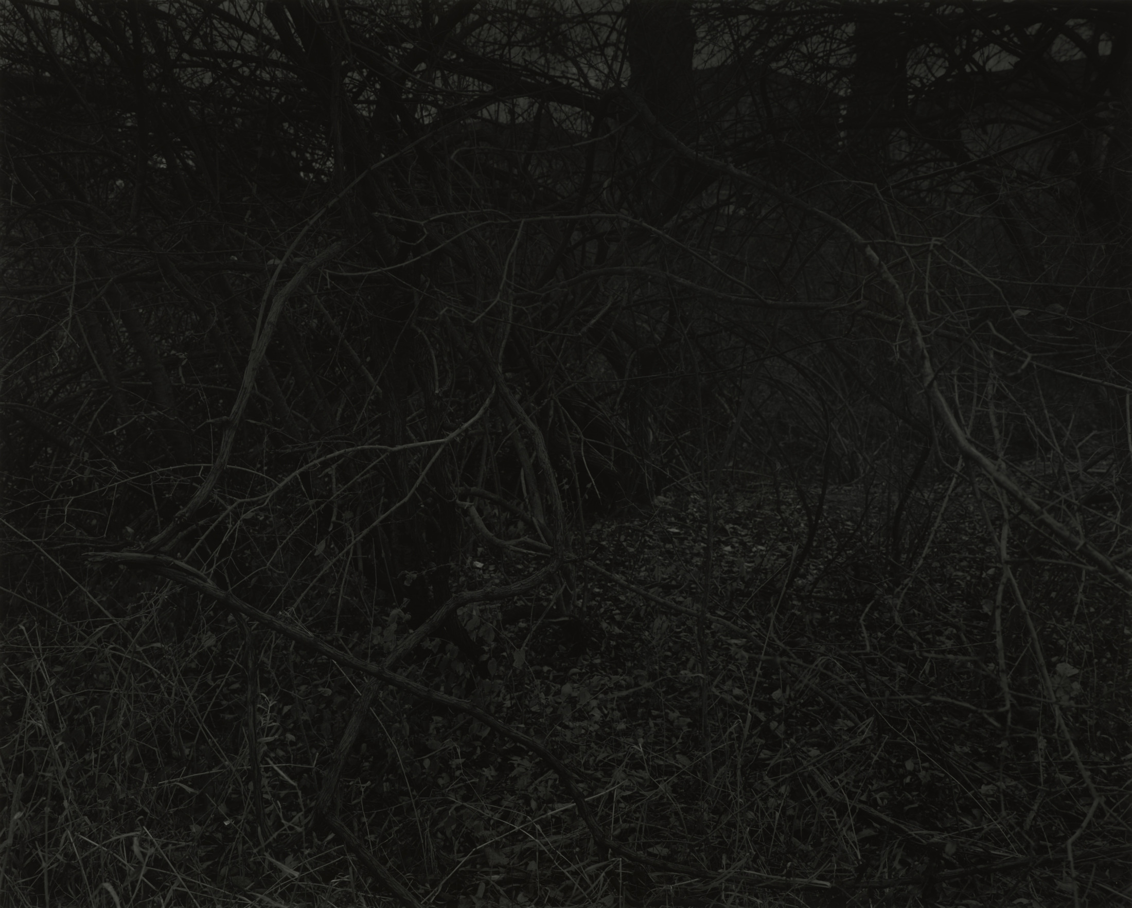 Bridget R Cooks Currents and Constellations | Cleveland Museum of Art