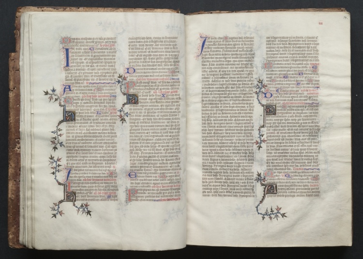 The Gotha Missal:  Fol. 14r, Text 