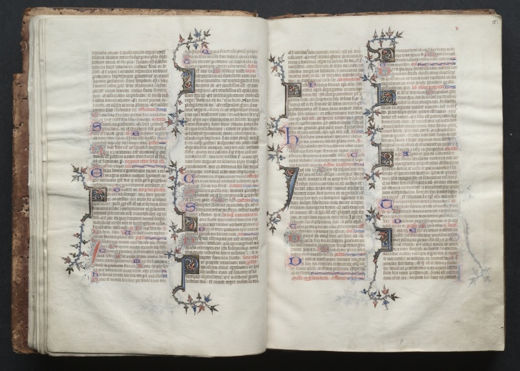 The Gotha Missal:  Fol. 14v, Text