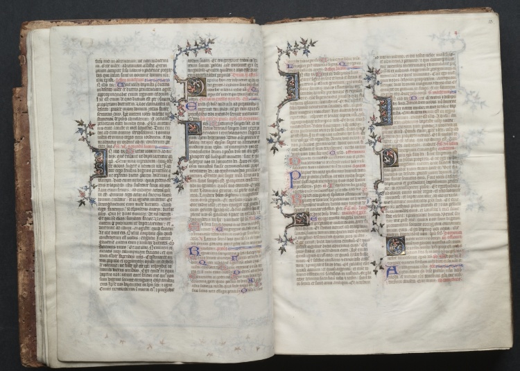 The Gotha Missal:  Fol. 11v, Text